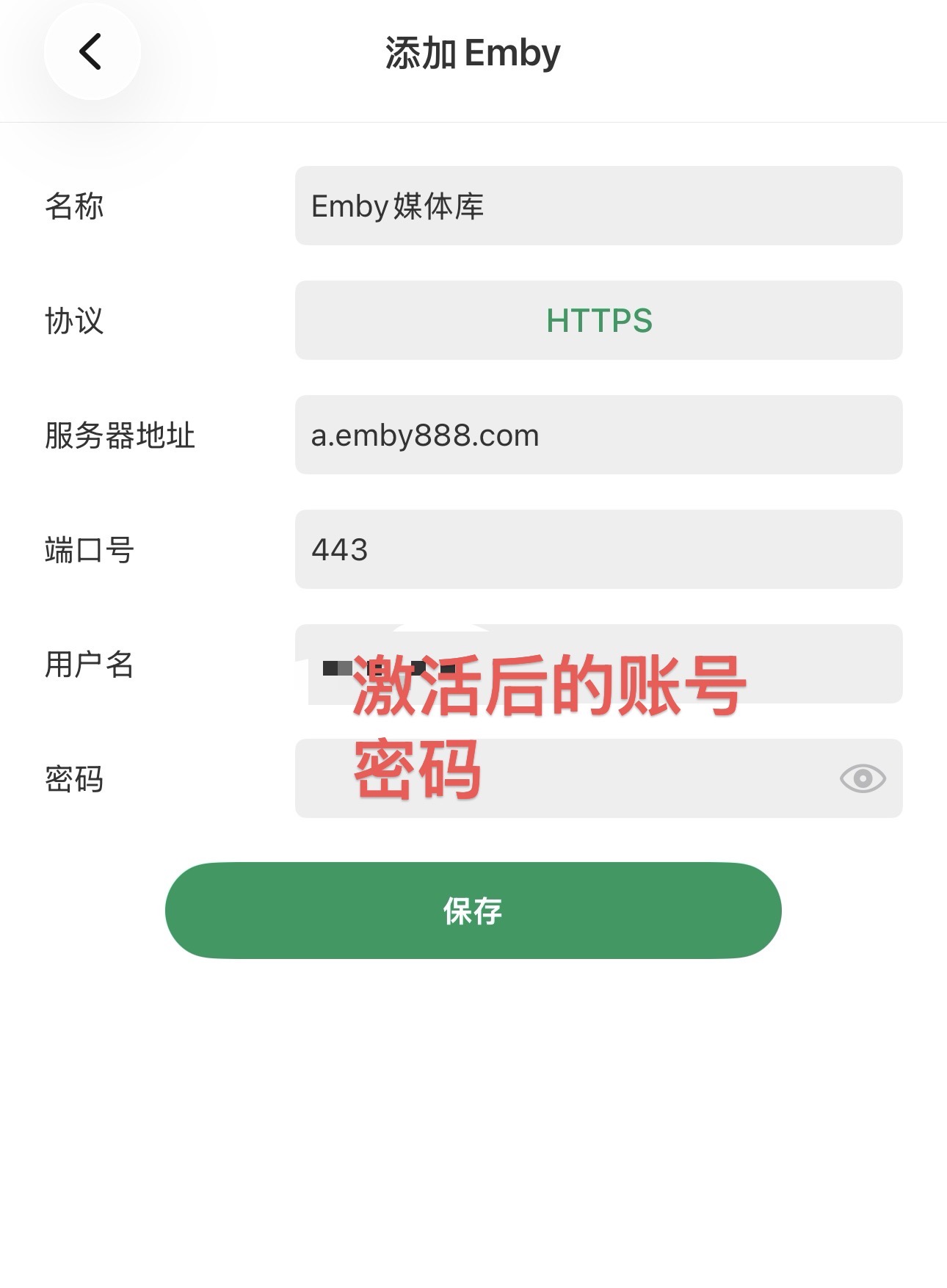 VidHub 配置教程